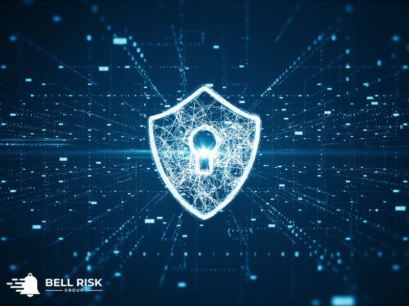 Security risk and resilience solutions - Bell Risk Group
